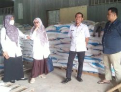 3.157 Petani di Sinjai tidak Masuk e-RDKK dan Sulit Dapat Pupuk Subsidi, Terancam Gagal Panen?