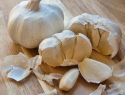 Manfaat Bawang Putih Bagi Penderita Asam Urat, Tangkal Purin dan Atasi Nyeri Sendi