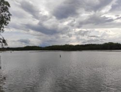 Tambak di Sinjai Diterjang Banjir Rob, Petani Rugi Besar hingga Butuh Perhatian Pemerintah