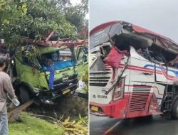 Tabrakan Maut di Pasangkayu, 4 Orang Tewas di TKP
