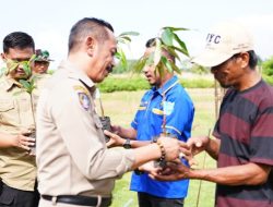 Hari Bumi, Pemkab Sinjai Tanam dan Bagikan 15 Bibit Pohon