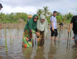 Intip PD Aisyiyah Sinjai Lestarikan Alam di Daerah Pesisir