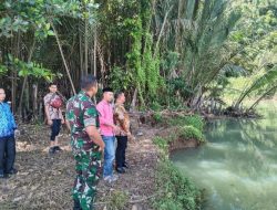 Pantau Keberadaan Buaya Besar, Pj Bupati Sinjai Lapor ke BBKSDA Sulsel
