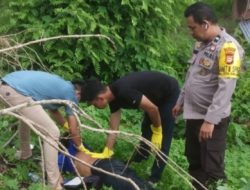 Terungkap! Ini Identitas Mayat yang Ditemukan Warga Bongki Sinjai