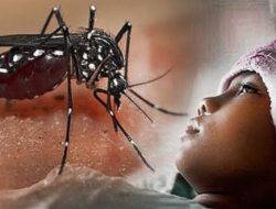 Yuk Kenali Gejala Demam Berdarah dan Cara Pengobatannya