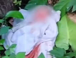 Temuan Bayi di Kebun Gegerkan Warga Sinjai, Polisi Buru Pelaku