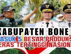 Bone Bikin Heboh! Produksi Berasnya Kalahkan Banyak Provinsi Besar