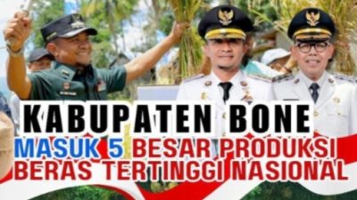 Bone Bikin Heboh! Produksi Berasnya Kalahkan Banyak Provinsi Besar
