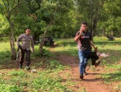 Gerebek Arena Judi di Sinjai, Polisi Dapati Belasan Ayam dan Sisa Miras di Lokasi