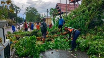 Cuaca Ekstrem Terjang Sinjai, Belasan Pohon Tumbang dan Rumah Warga Rusak