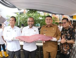 Makassar Tembus Jepang, Gurita Lokal Diekspor 15 Ton