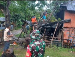 Cuaca Ekstrem, Rumah Warga di Sinjai Timur Rusak Dihantam Pohon Tumbang