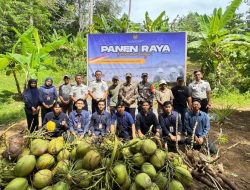 Rutan Sinjai Panen Cabai hingga Kelapa, Hasilnya untuk Korban Bencana