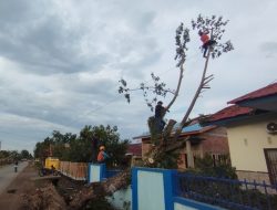 Aksi Heroik Tim BPBD Sinjai Evakuasi Pohon Tumbang Timpa Rumdis Kepala Syahbandar