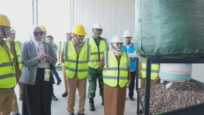 Bupati Sinjai Tinjau Pabrik Porang di Lappa, Perusahaan Janji Rekrut 95 Persen Tenaga Kerja Lokal