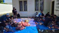 BRI Sinjai Tebar Kebahagiaan Idul Adha, 5 Sapi Kurban Dibagikan ke Warga