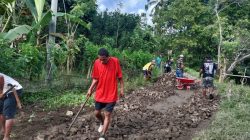 Warga di Desa Sukamaju Sinjai Swadaya Perbaiki Jalan Berlubang Demi Keselamatan