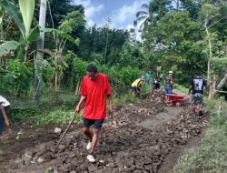 Warga di Desa Sukamaju Sinjai Swadaya Perbaiki Jalan Berlubang Demi Keselamatan