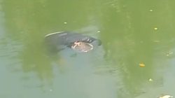 Mayat Laki-laki Ditemukan Terapung di Sungai Tui Sinjai